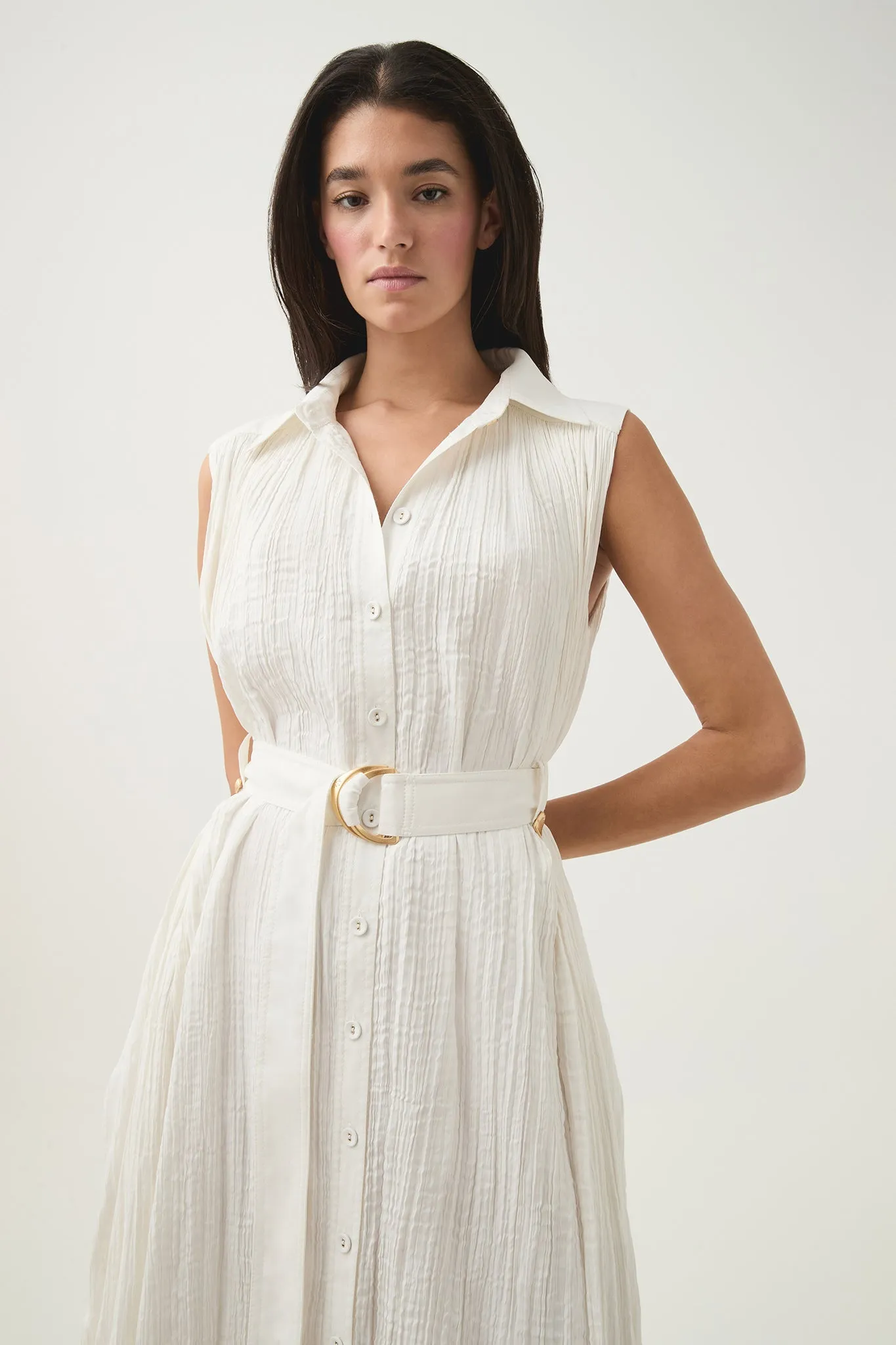 Risen Crushed Pleat Midi Dress